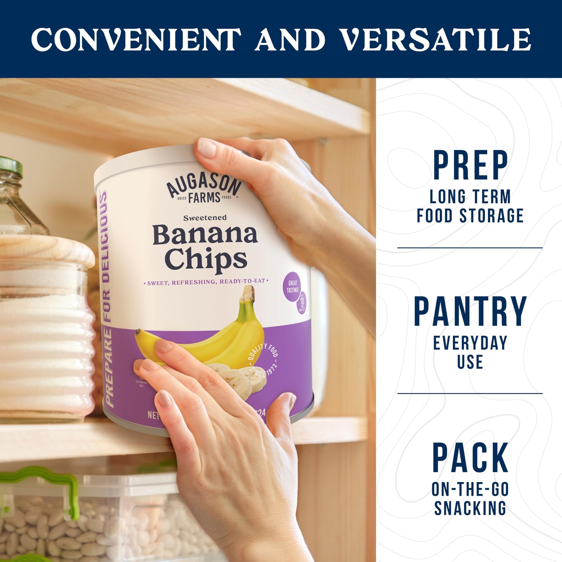 Augason Farms Sweetened Banana Chips Can, Emergency Food Supply, Everyday Meals, 31 Servings (Packaging May Vary)