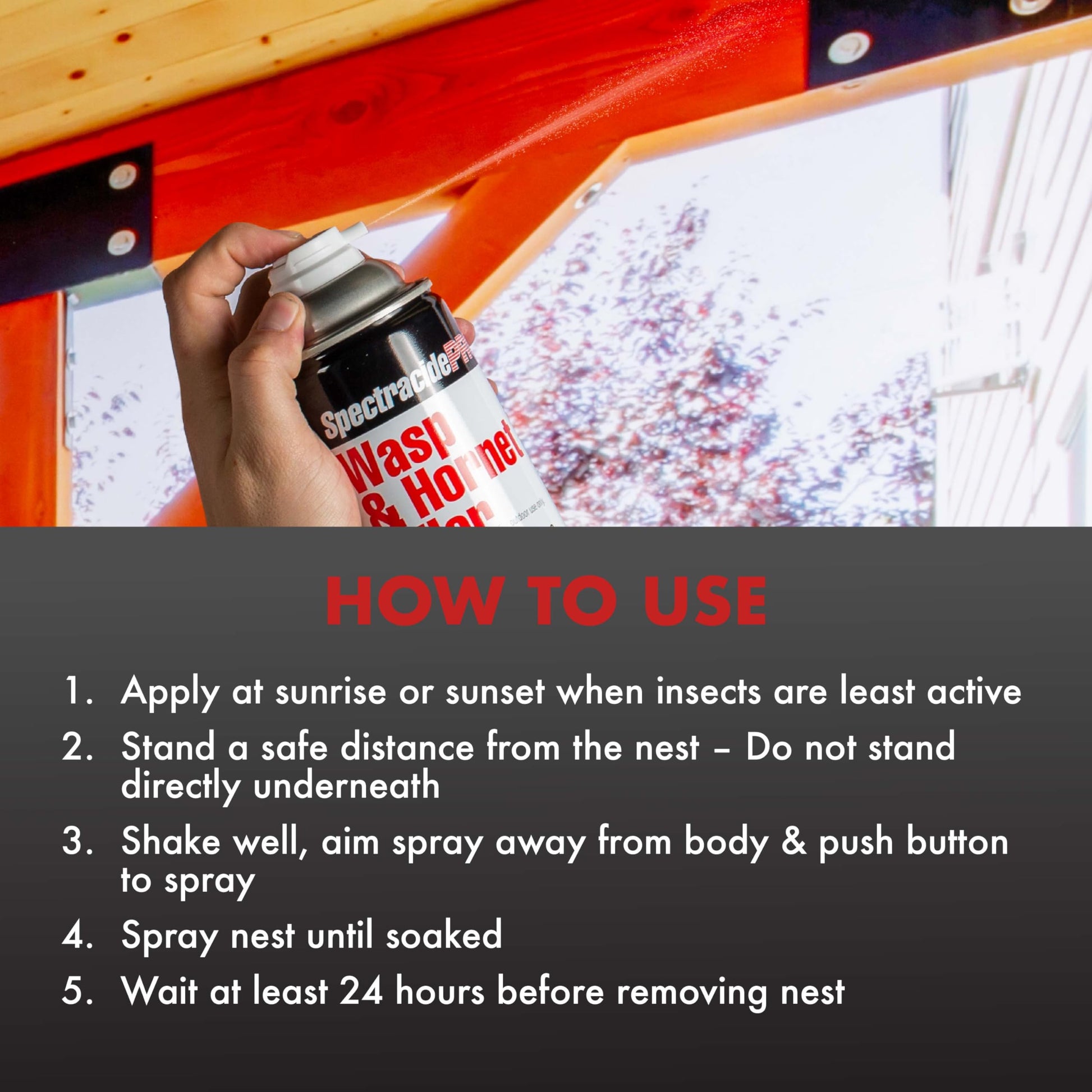 Spectracide PRO Wasp & Hornet Killer (Aerosol)(18 oz), Pack of 1, White Can