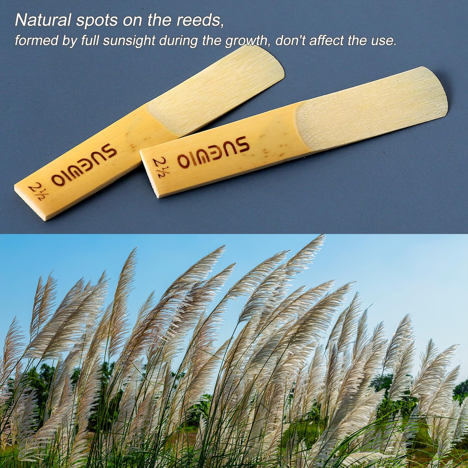 SUEWIO Bb Clarinet Traditional Reeds, Strength 2.5, 10 Pack with Portable Case