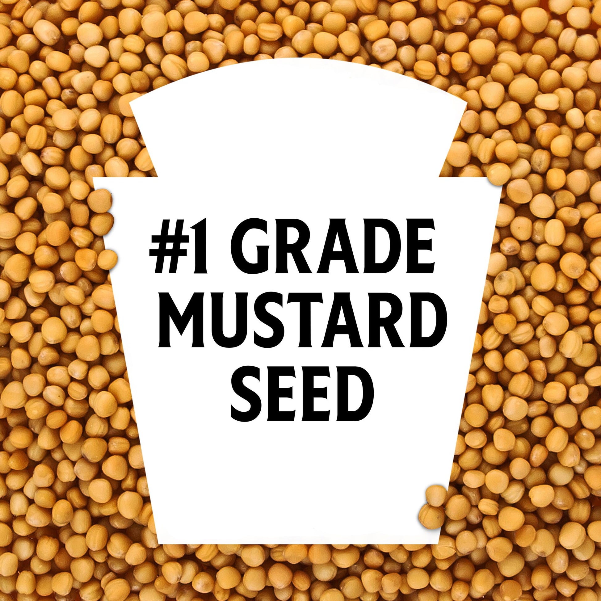 Heinz Yellow Mustard, 8 oz Bottle