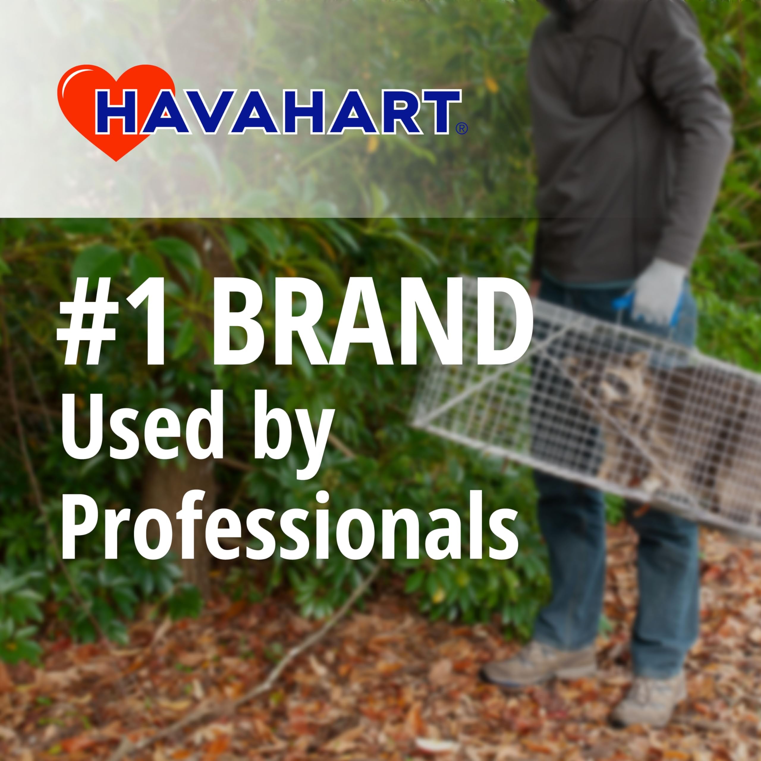 HAVAHART 1079SR Large 1-Door Humane Catch and Release Live Animal Trap Cage - Live Raccoon Trap, for Bobcats, Beavers, Dogs, & More