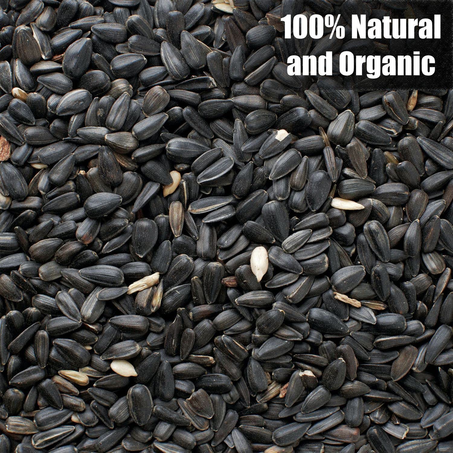 Old Potters Wildlife Black Oil Sunflower Seeds for Birds and Wildlife, Non-GMO & USA Grown on Small Farms, 12 lbs