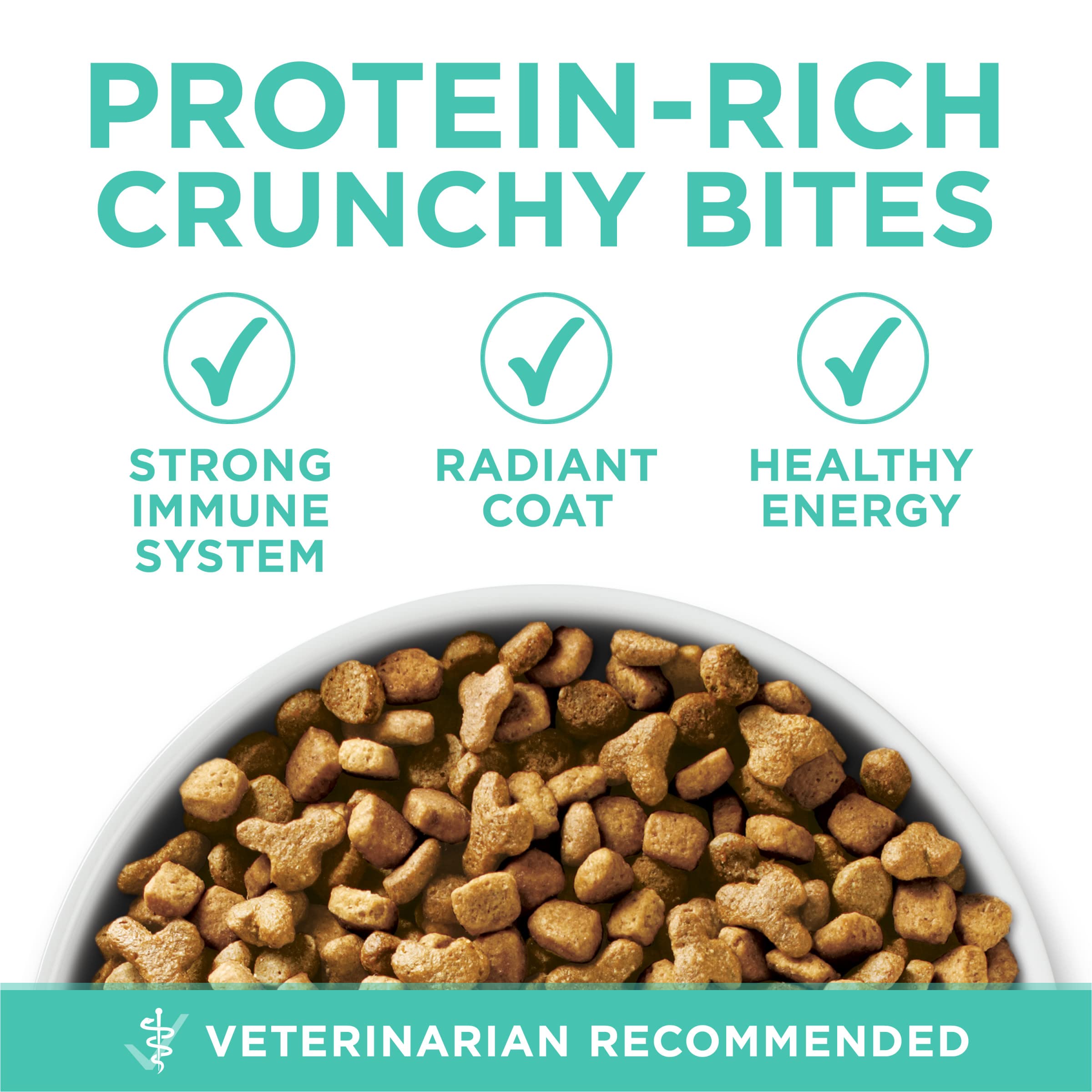 Purina ONE Sensitive Stomach, Sensitive Skin, Natural Dry Cat Food, +Plus Sensitive Skin and Stomach Formula - 16 lb. Bag