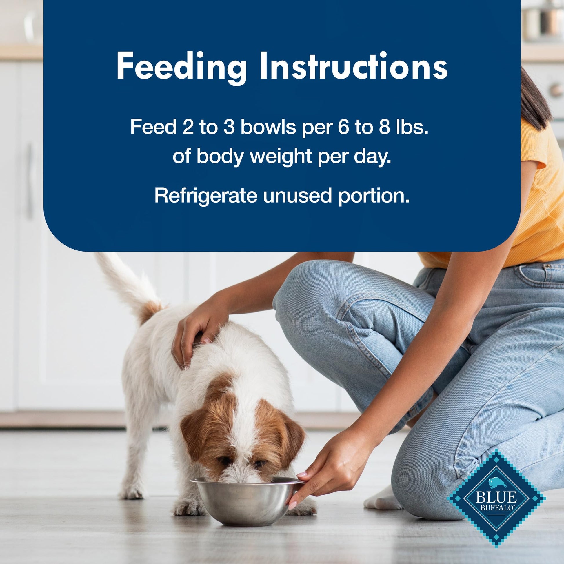 Blue Buffalo Delights Natural Adult Small Breed Wet Dog Food, Variety Pack, Made with Natural Ingredients, Filet Mignon & New York Strip Recipe in Hearty Gravy, 3.5-oz. Cups (12 Count, 6 of Each)