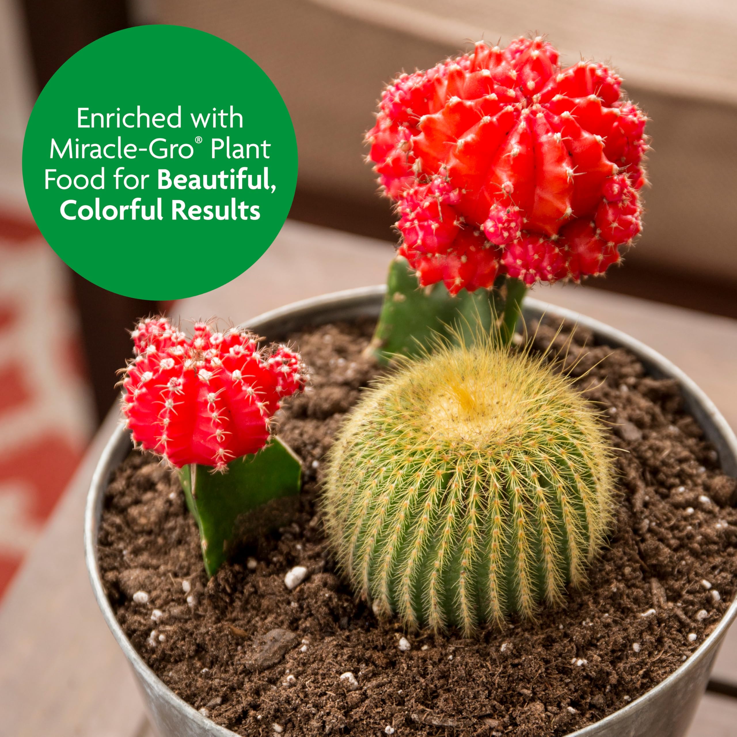 Miracle-Gro Cactus, Palm and Citrus Potting Mix, for Indoor or Outdoor Potted Plants, Great for Succulents, 8 qt., 2-Pack