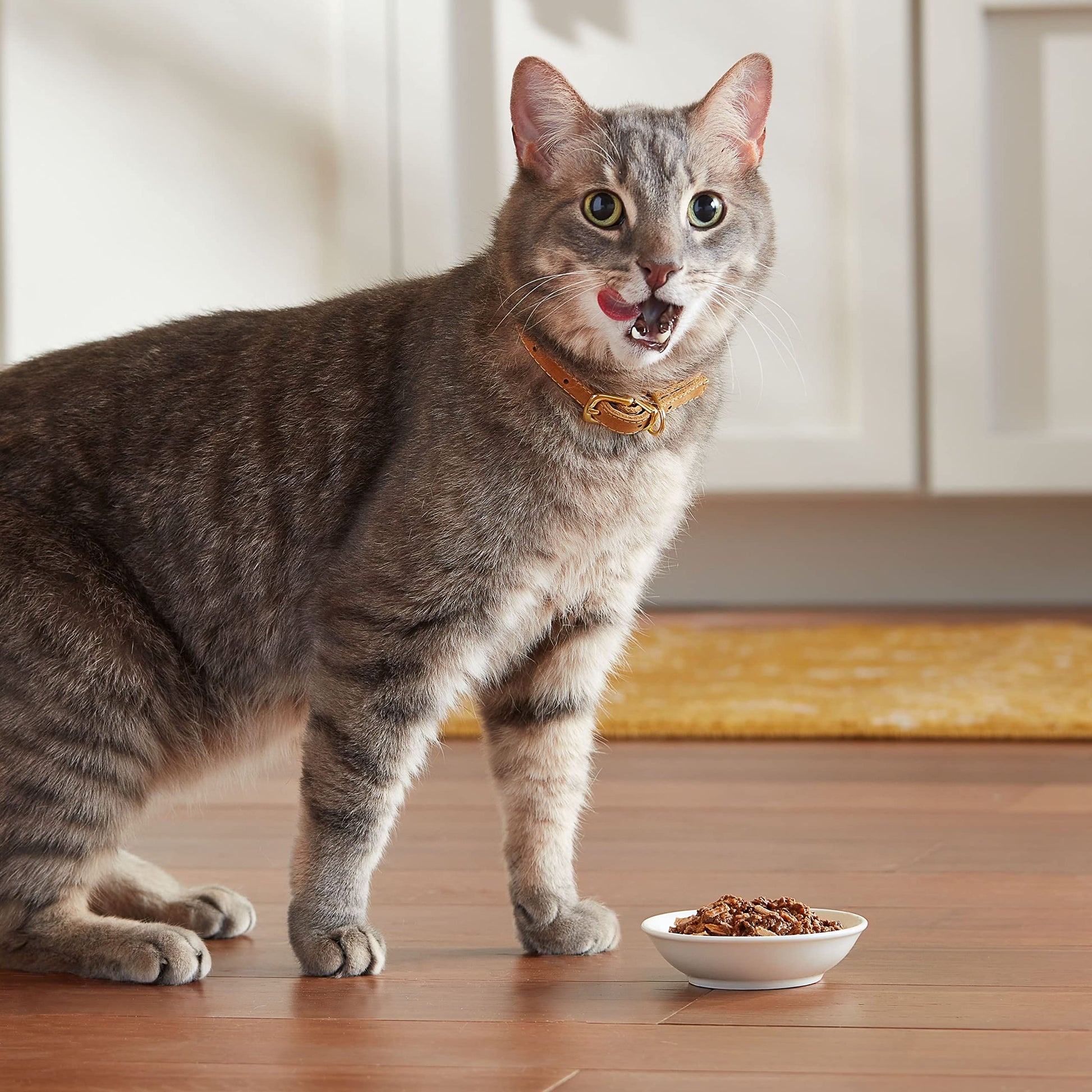 Meow Mix Tenders in Sauce Wet Cat Food, Poultry & Beef Variety Pack, 2.75 Ounce Cup (Pack of 24)