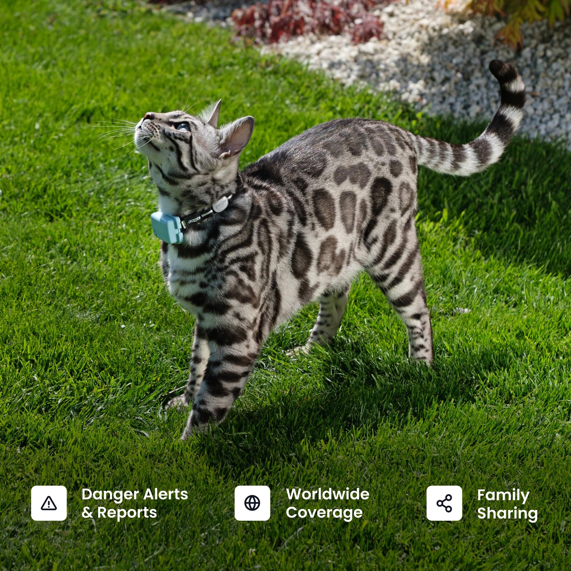 Tractive Smart Cat GPS Tracker | Real-Time Location & Wellness Monitoring for Cats 6.5 lbs+ | Territory & Location History | Up to 5-Day Battery | Breakaway Collar Included (Dark Blue)