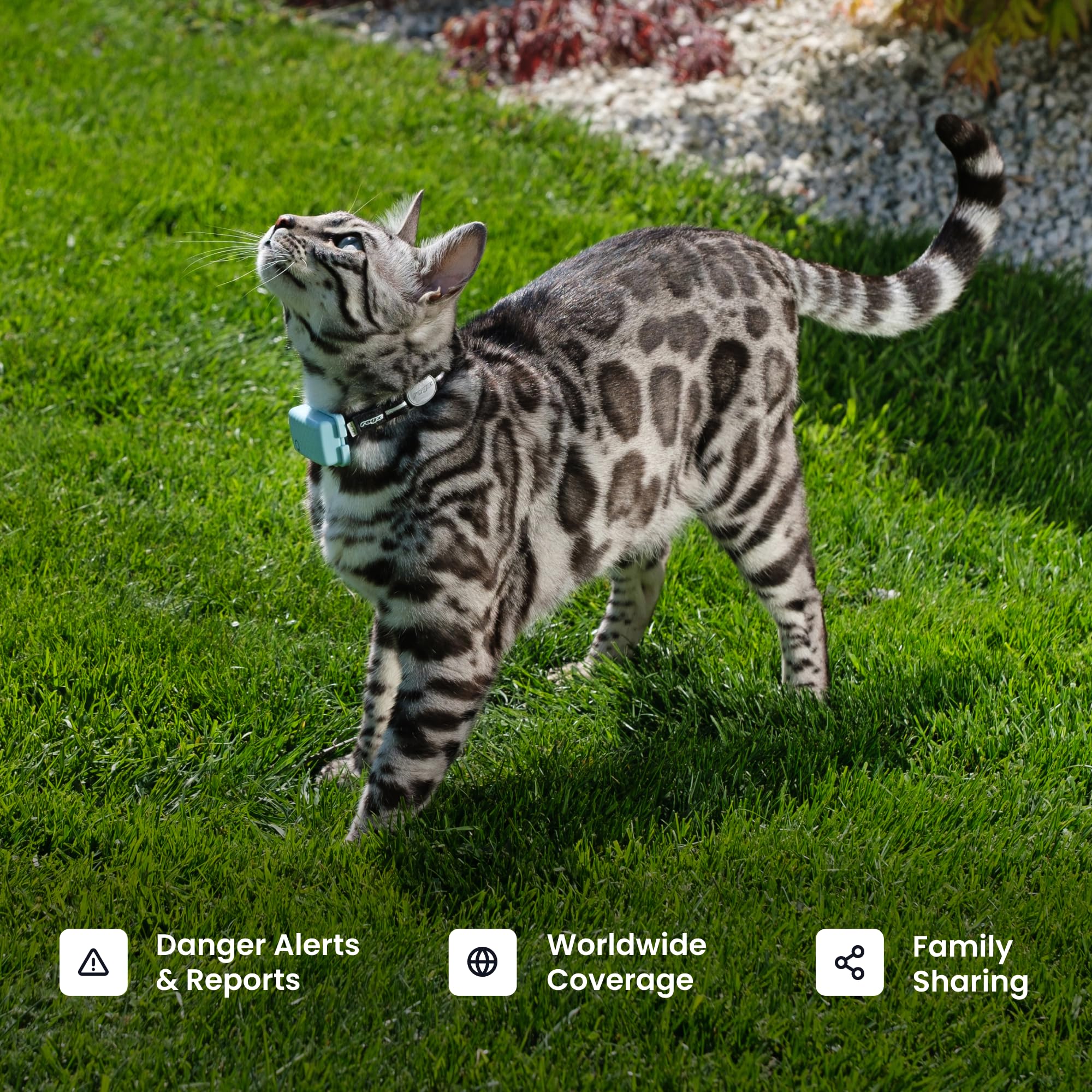 Tractive Smart Cat GPS Tracker | Real-Time Location & Wellness Monitoring for Cats 6.5 lbs+ | Territory & Location History | Up to 5-Day Battery | Breakaway Collar Included (Dark Blue)