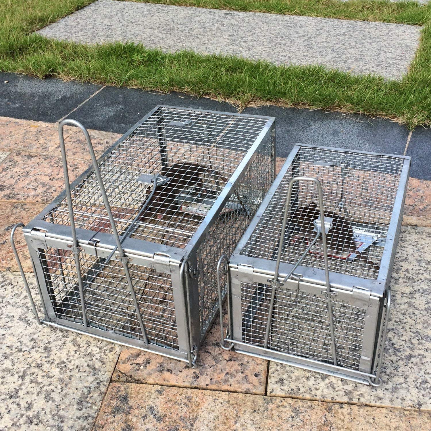 Kensizer Humane Rat Trap, Chipmunk Rodent Trap That Work for Indoor and Outdoor Small Animal - Mouse Voles Hamsters Live Cage Catch and Release 1-Pack Small 10.5" L x 5.5" W x 4.5" H