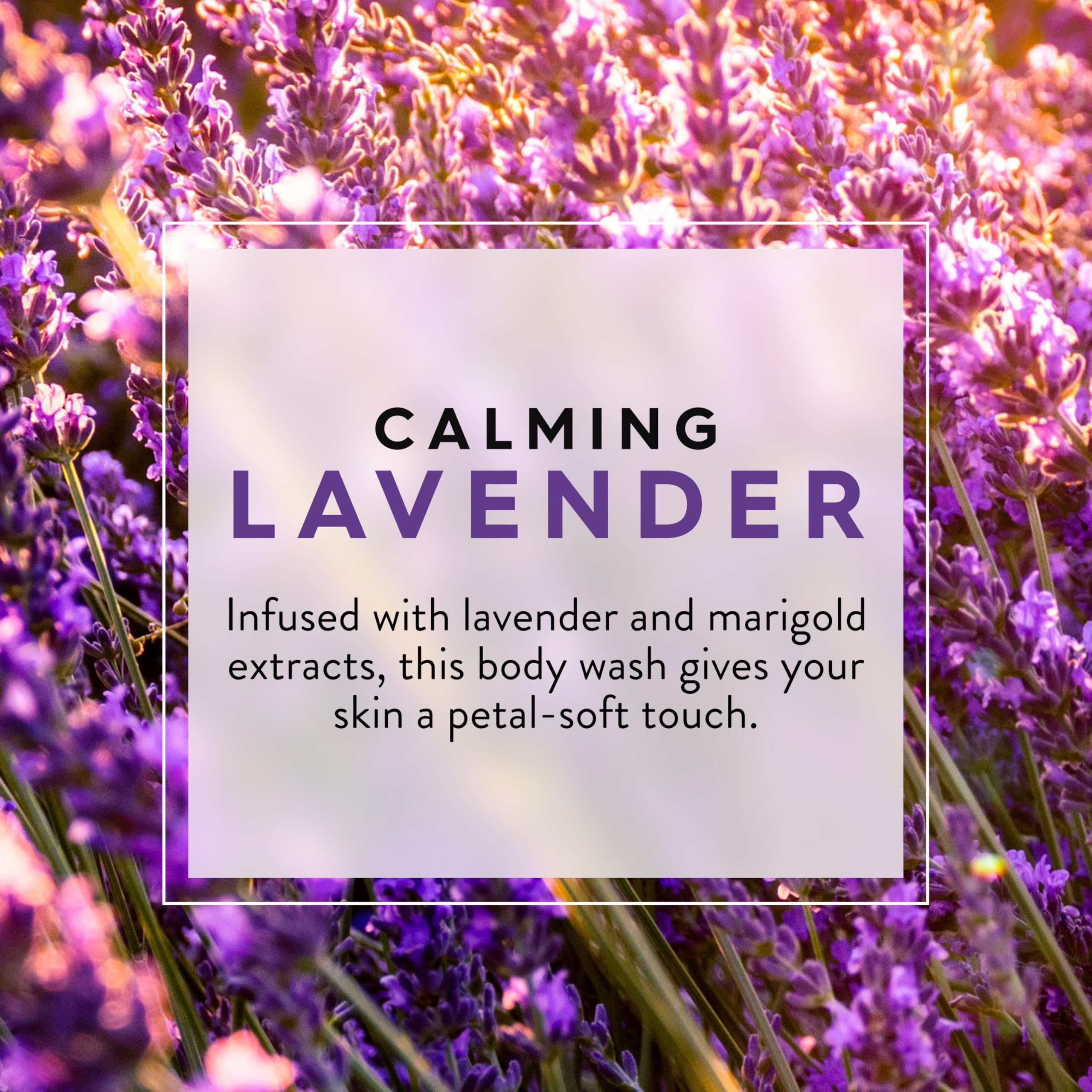 JASON Lavender Calming Body Wash, For a Gentle Feeling Clean, 30 Fluid Ounces