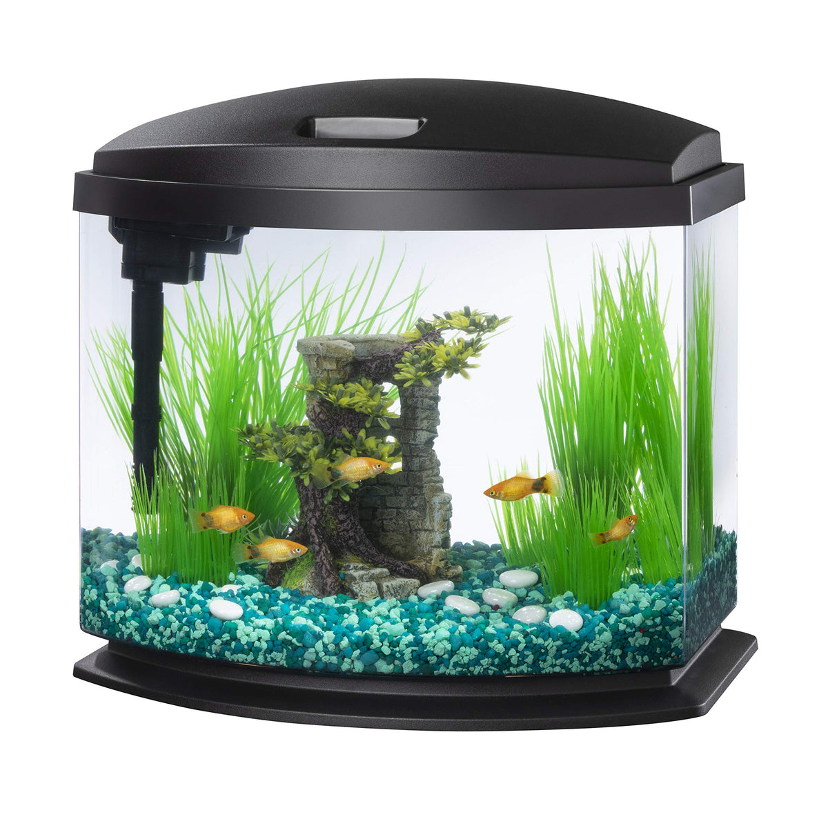 Aqueon LED MiniBow Kleinaquarium-Fischbecken-Set mit SmartClean-Technologie, Schwarz, 5 Gallonen