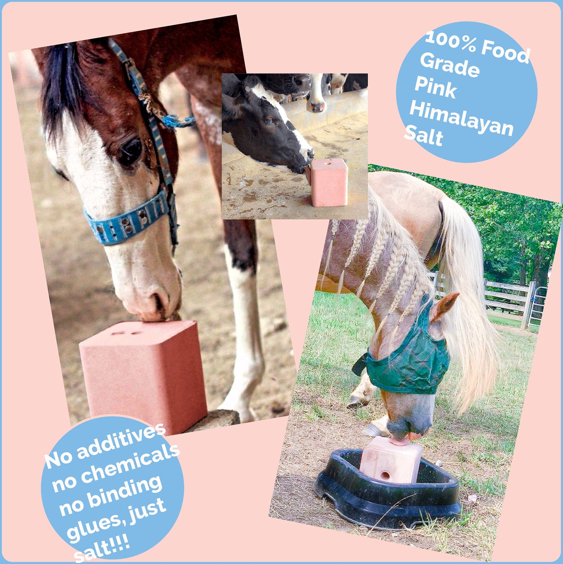 Himalayan Secrets® 11LB (5KG) Compressed Pink Himalayan Salt Lick | for Livestock and Wildlife Animals | 100% Pure & Natural Feed Salt Block | Natural Minerals and Trace Elements