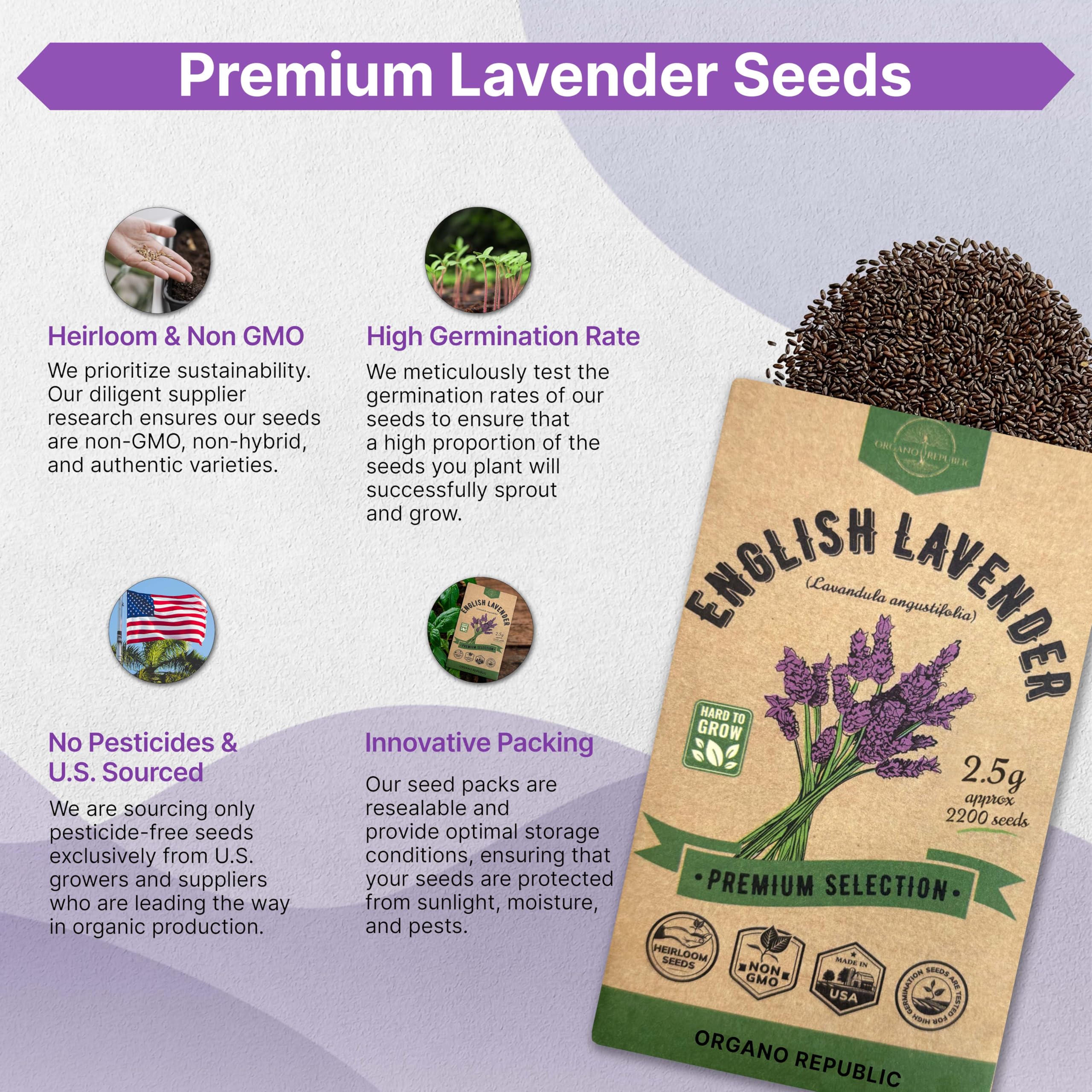 English Lavender Seeds Pack 2.50G - Over 2200 Non-GMO Heirloom Lavender Seeds for Planting Herbs in Individual Seed Packet, Herbs Seeds for Planting Home Garden Indoor & Outdoor Gardening