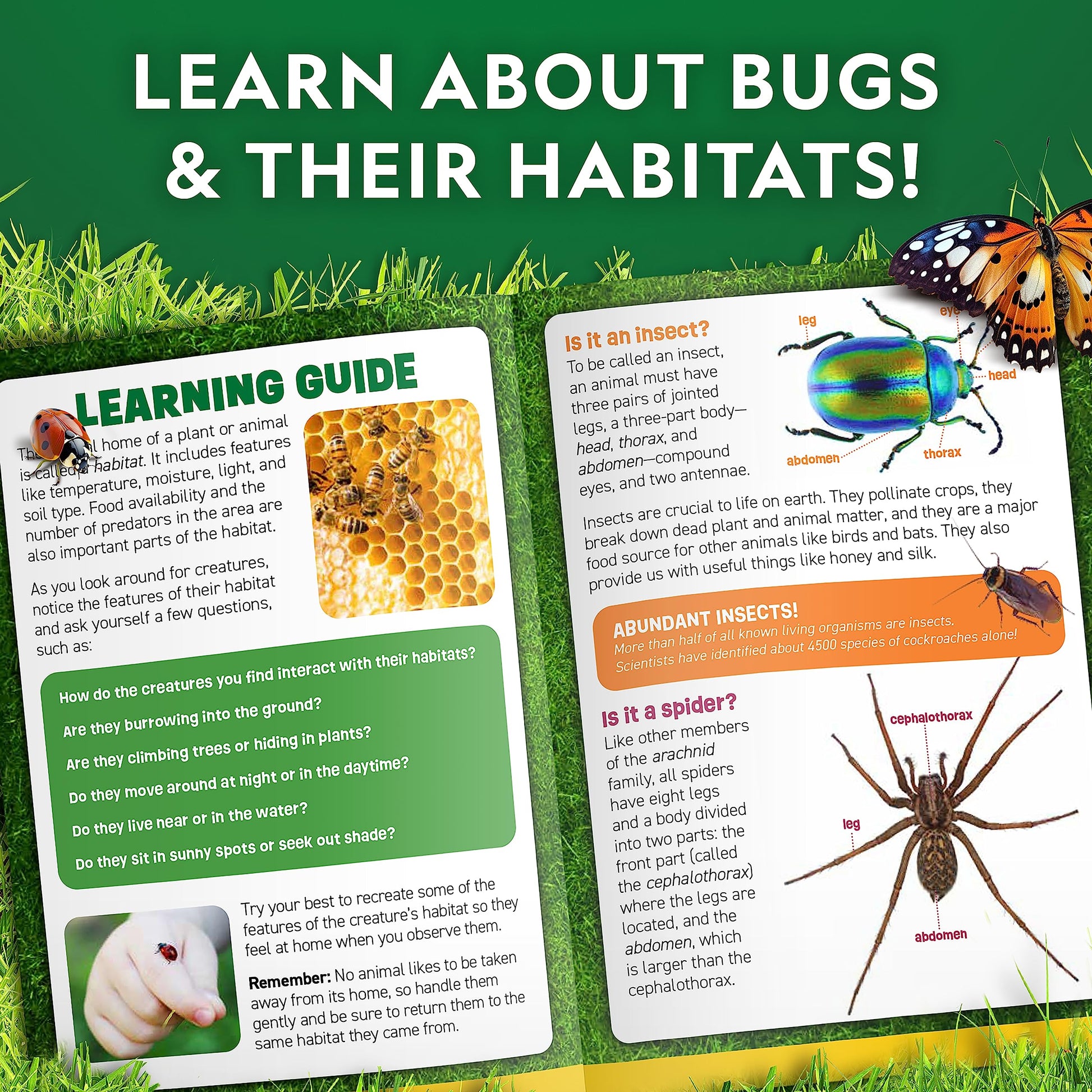 National Geographic Bug Catcher Kit for Kids - Kids Bug Habitat with Magnified Viewer, Bug Catcher, Tweezers & Learning Guide, Insect Habitat, Outdoor Toys, Kids Bug Catching Kit, Bug Box