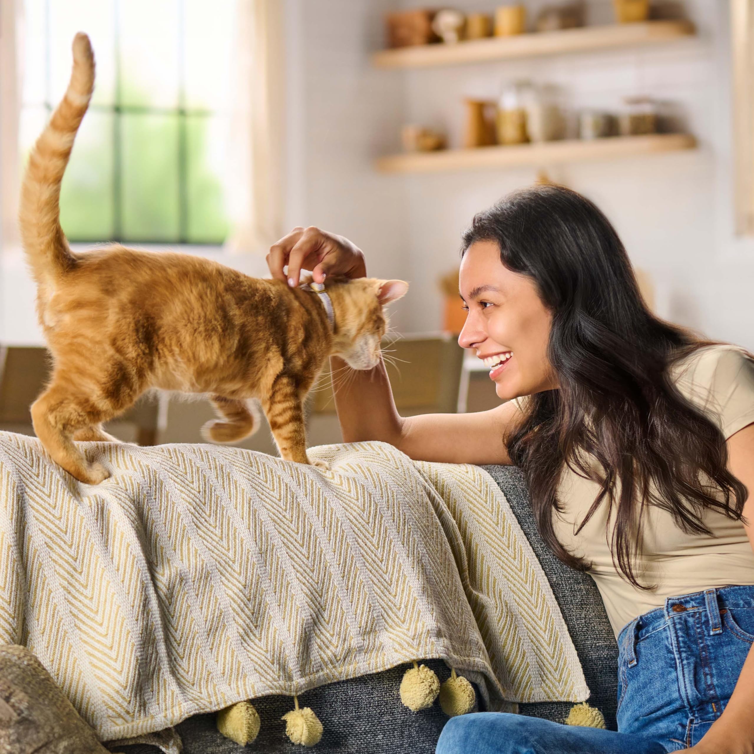 Meow Mix Gravy Bursts Dry Cat Food, Chicken, 3 LB Bag