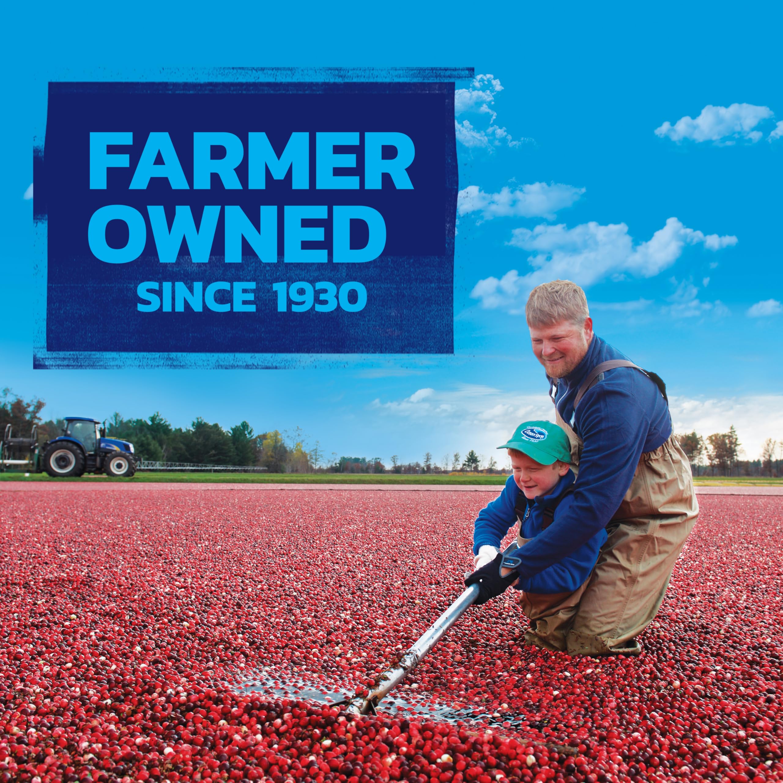 Ocean Spray Craisins Dried Cranberries, Original, 48 Ounce