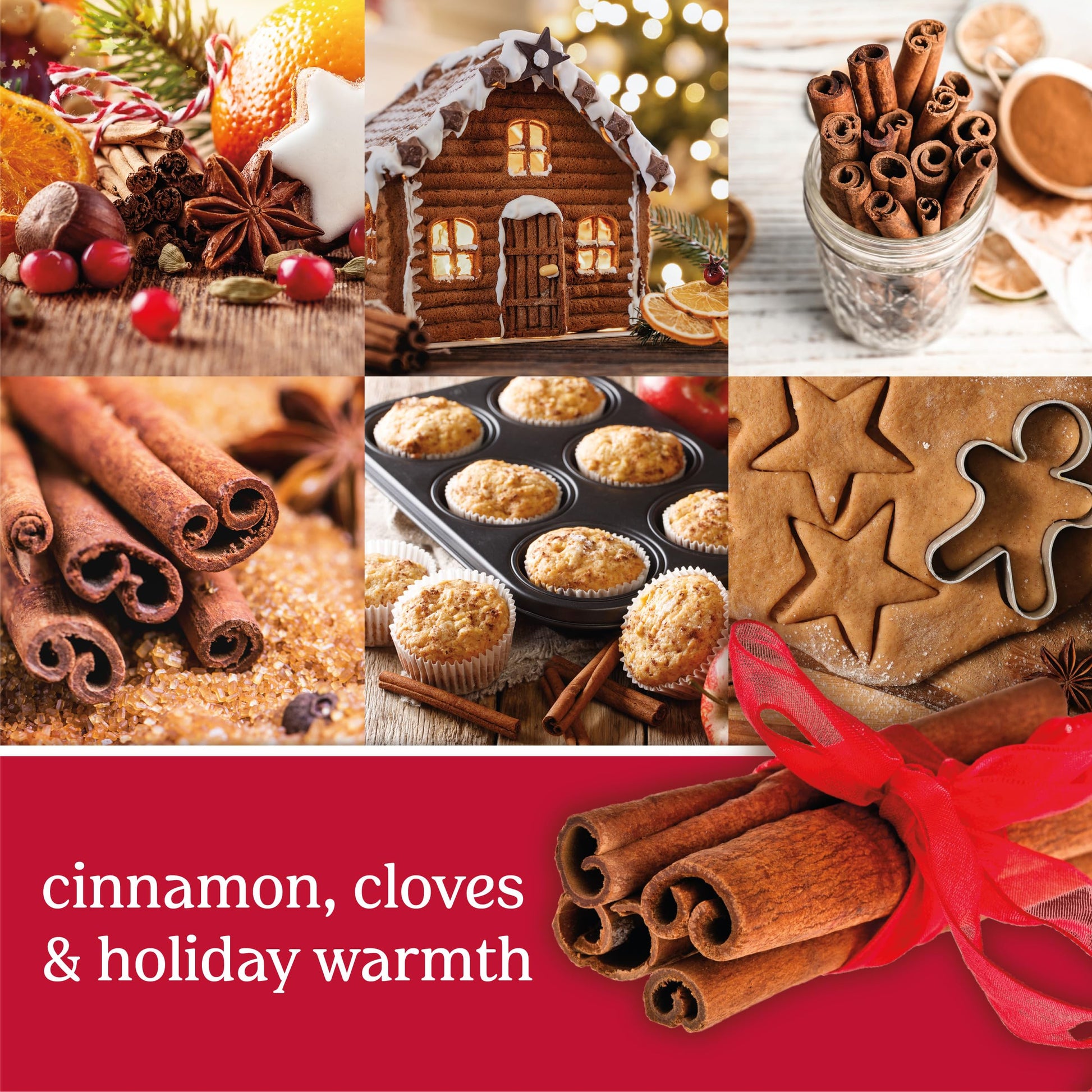 Yankee Candle Sparkling Cinnamon Scented, Classic 22oz Large Jar Single Wick Candle, Over 110 Hours of Burn Time | Holiday Gifts for All: Perfect for Fall and Winter Decor