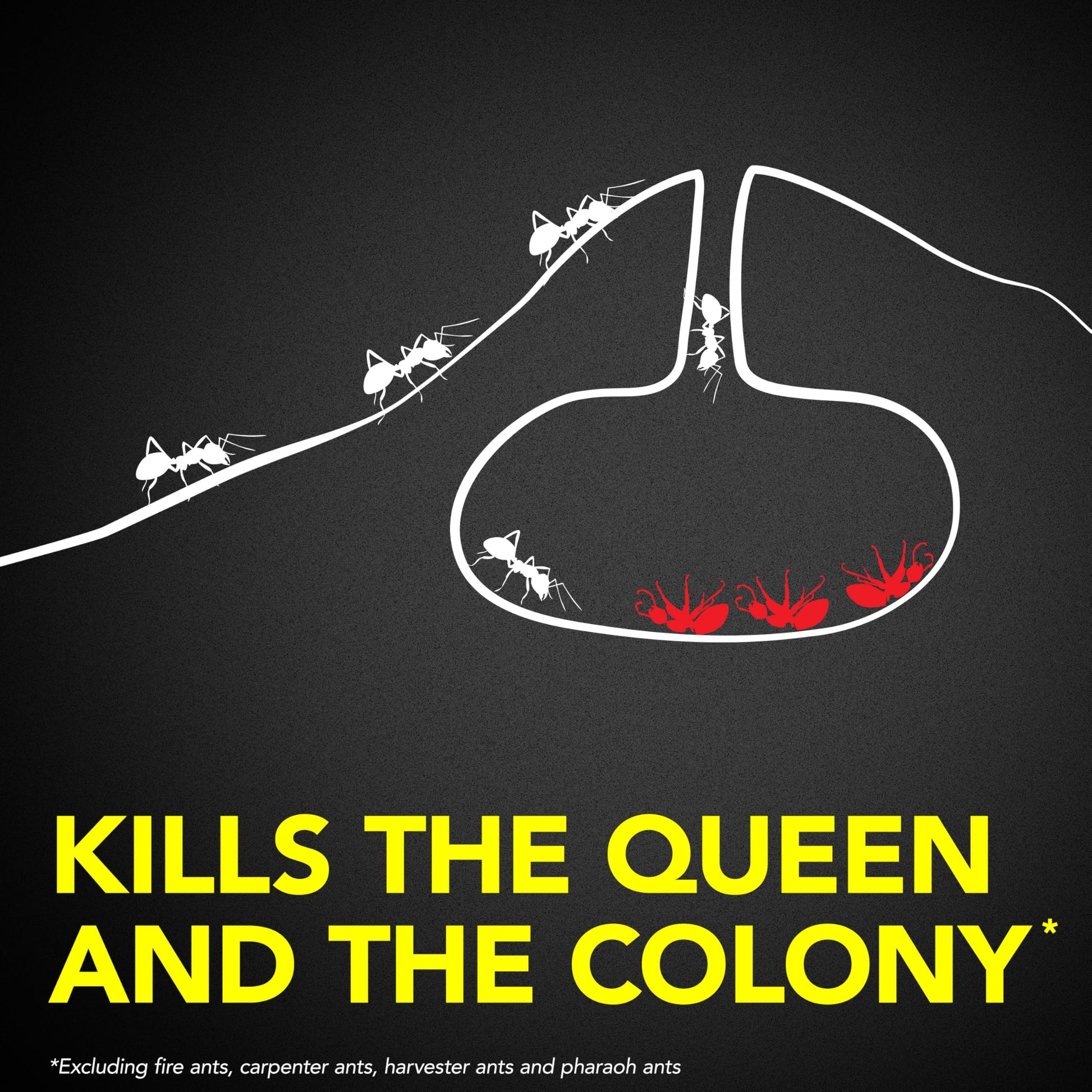 Raid Ant Killer Baits, Child Resistant Bug Killer for Indoor Home Use, 0.24 Oz, 8 Count