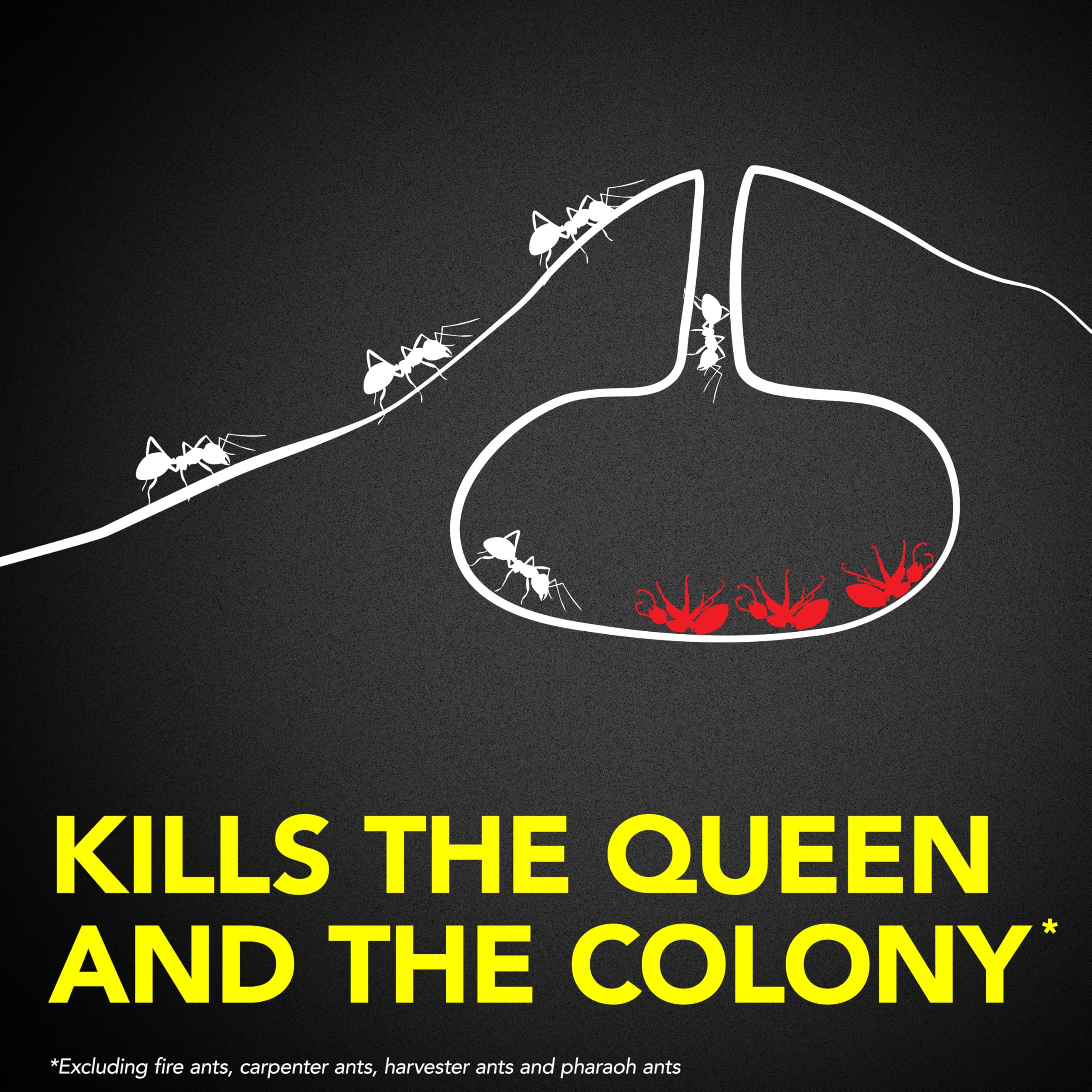 Raid Ant Killer Baits, Child Resistant Bug Killer for Indoor Home Use, 0.24 Oz, 8 Count