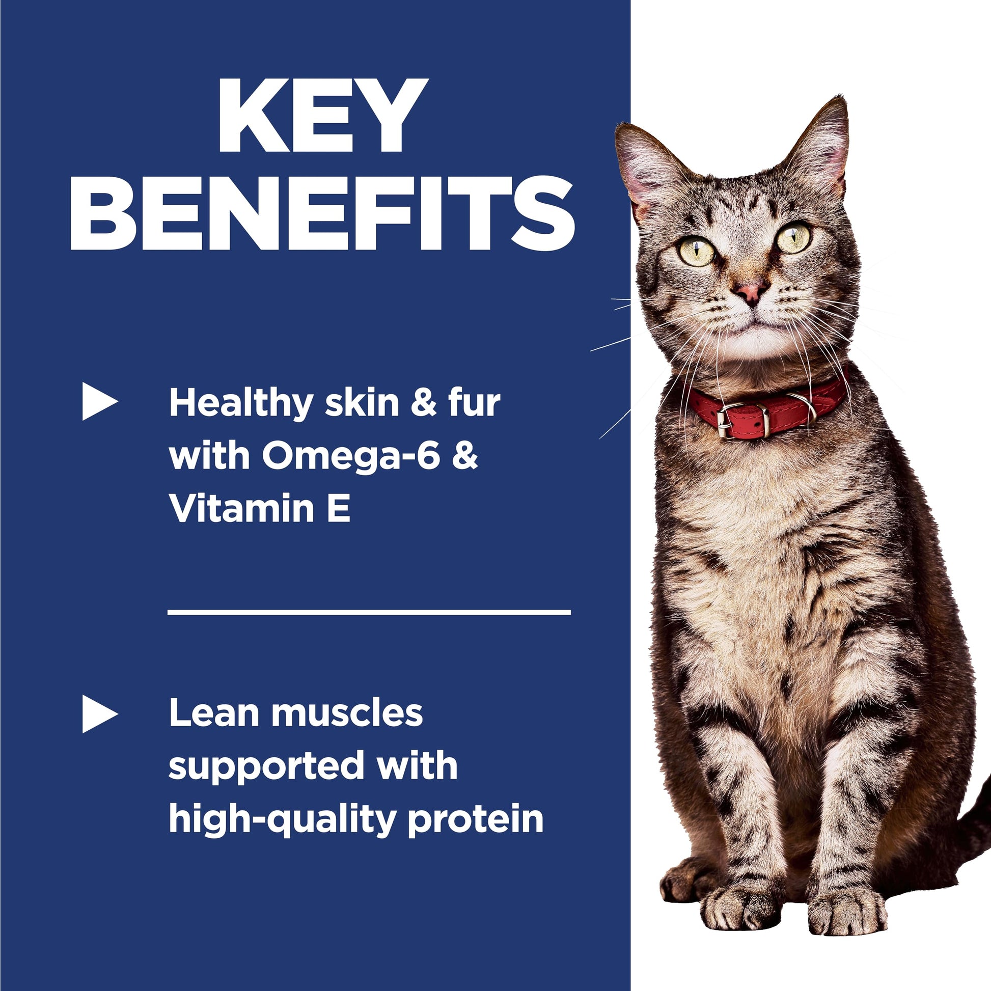 Hill's Science Diet Adult 1-6, Adult 1-6 Premium Nutrition, Dry Cat Food, Chicken Recipe, 4 lb Bag