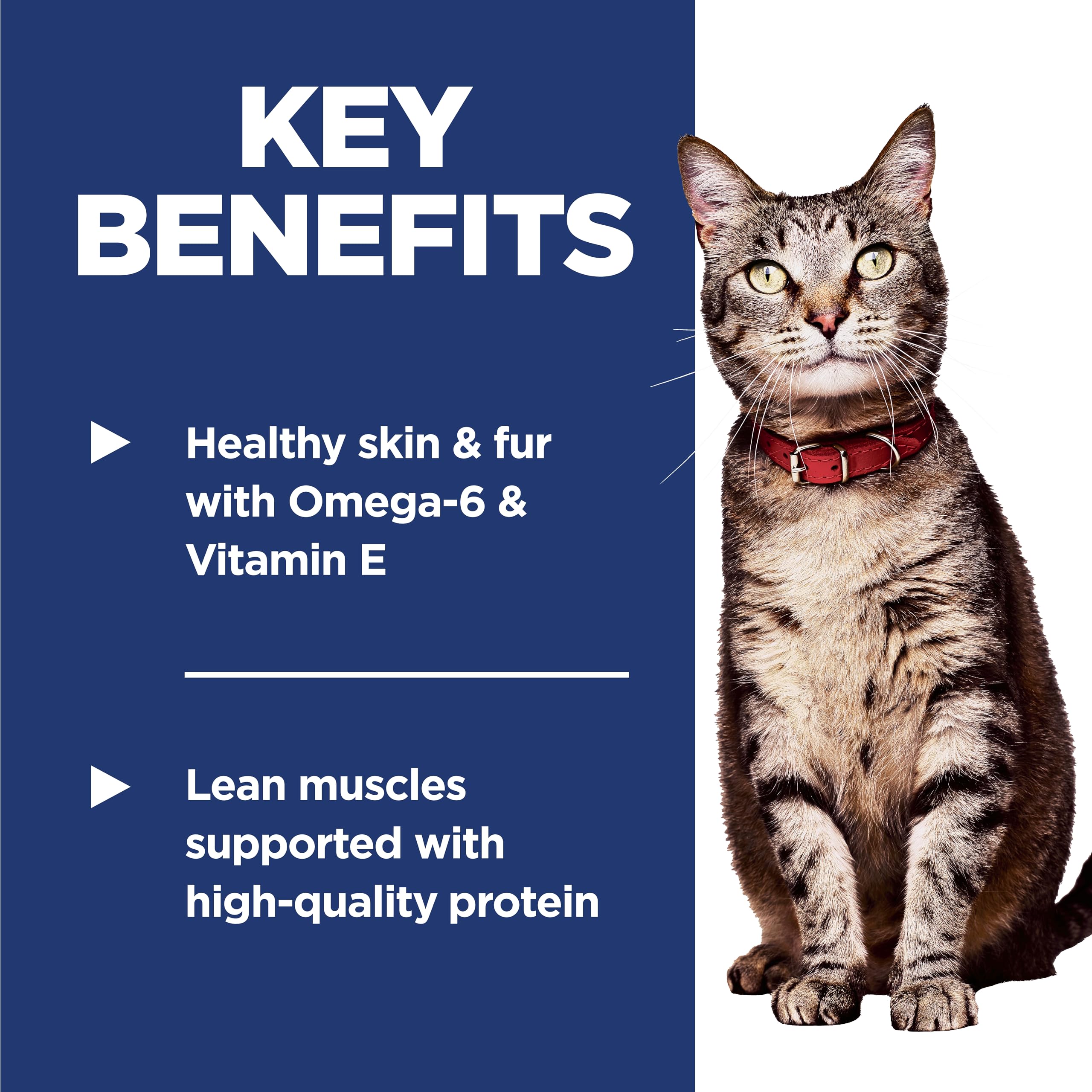 Hill's Science Diet Adult 1-6, Adult 1-6 Premium Nutrition, Dry Cat Food, Chicken Recipe, 4 lb Bag