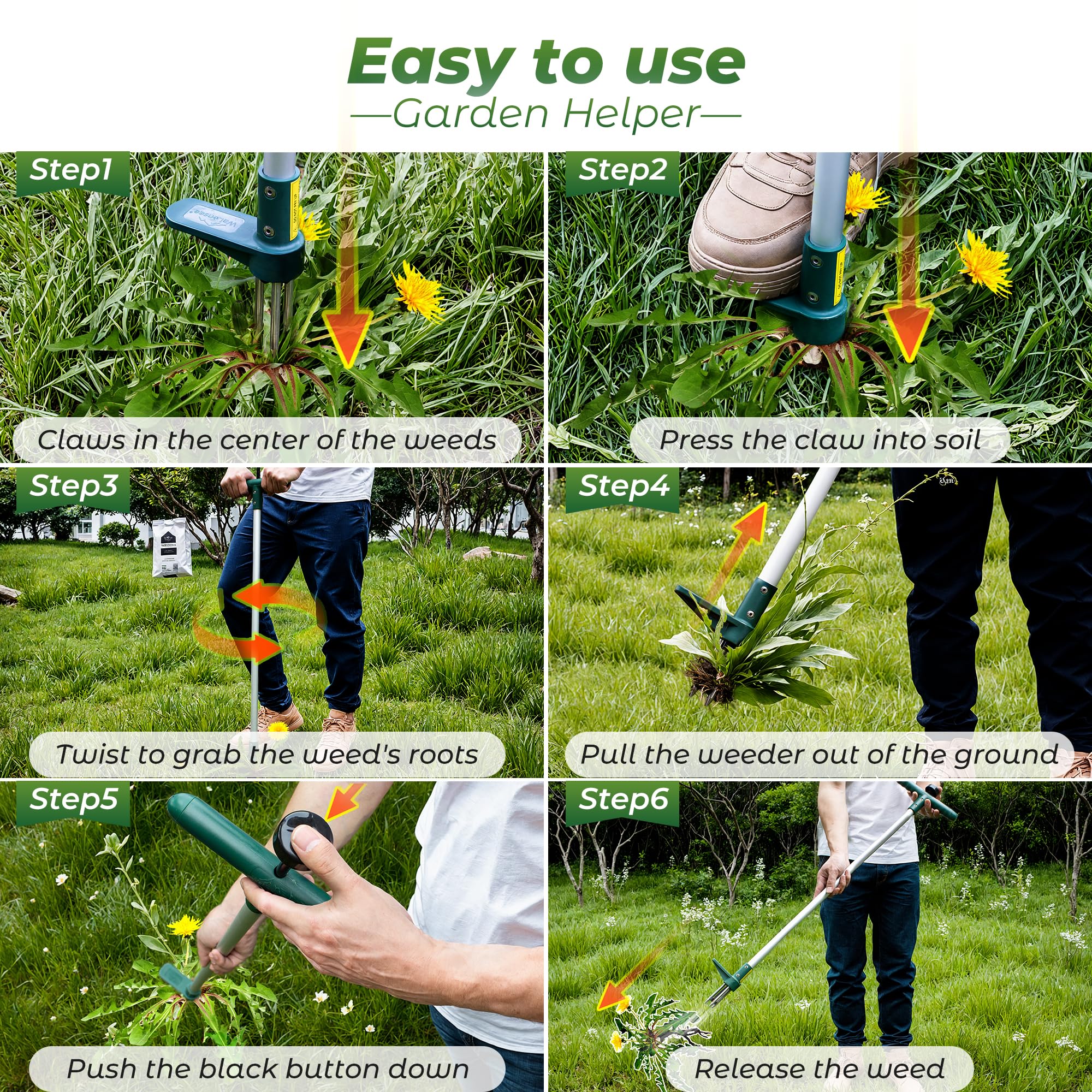 Walensee Weed Puller, Stand Up Weeder Hand Tool, Long Handle Garden Weeding Tool with 3 Claws, Hand Weed Hound Weed Puller for Dandelion, Standup Weed Root Pulling Tool and Picker, Grabber (1 Pack)