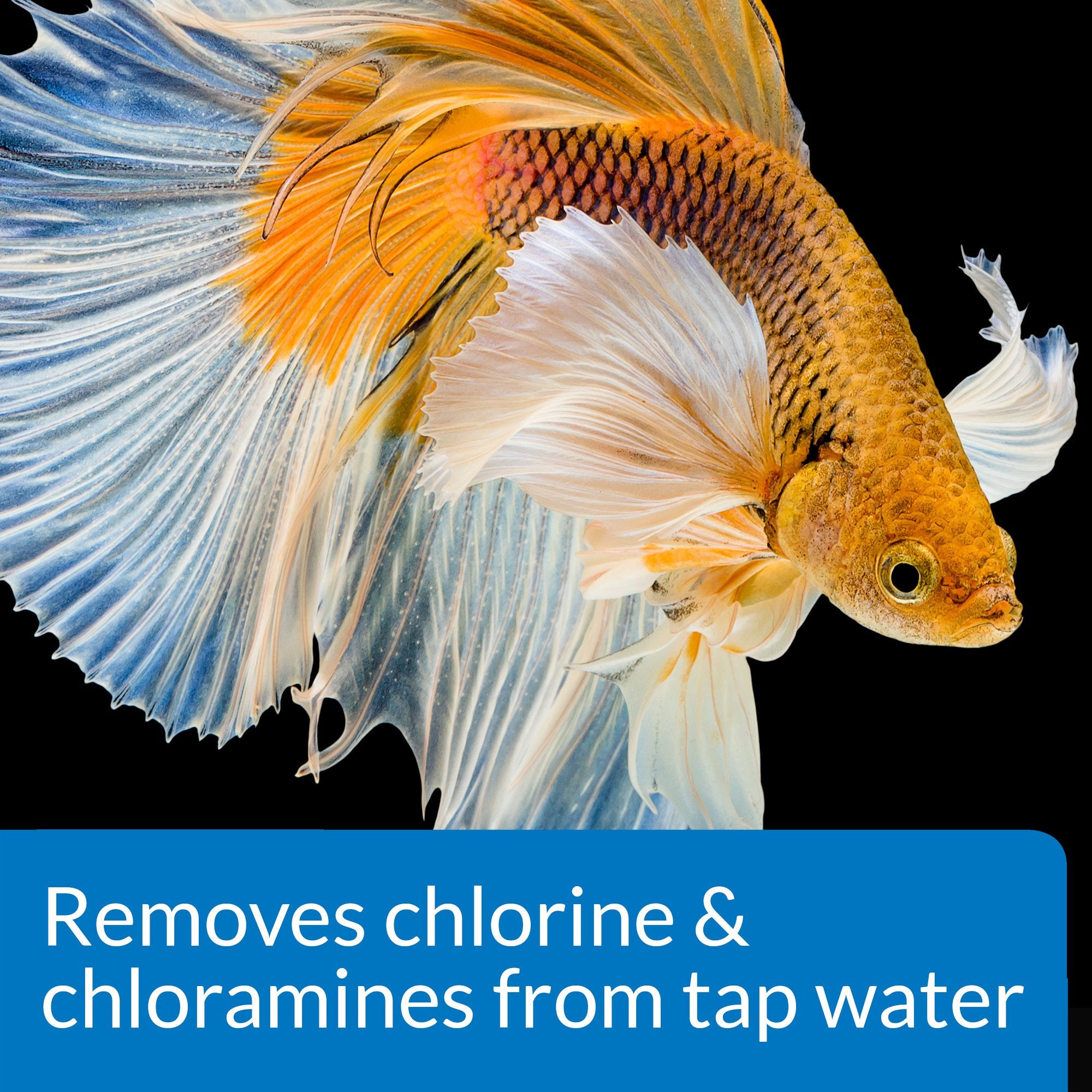 API BETTA WATER CONDITIONER Betta Fish Freshwater Aquarium Water Conditioner 1.7-Ounce Bottle