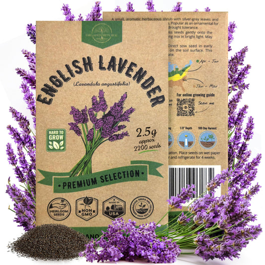 English Lavender Seeds Pack 2.50G - Over 2200 Non-GMO Heirloom Lavender Seeds for Planting Herbs in Individual Seed Packet, Herbs Seeds for Planting Home Garden Indoor & Outdoor Gardening