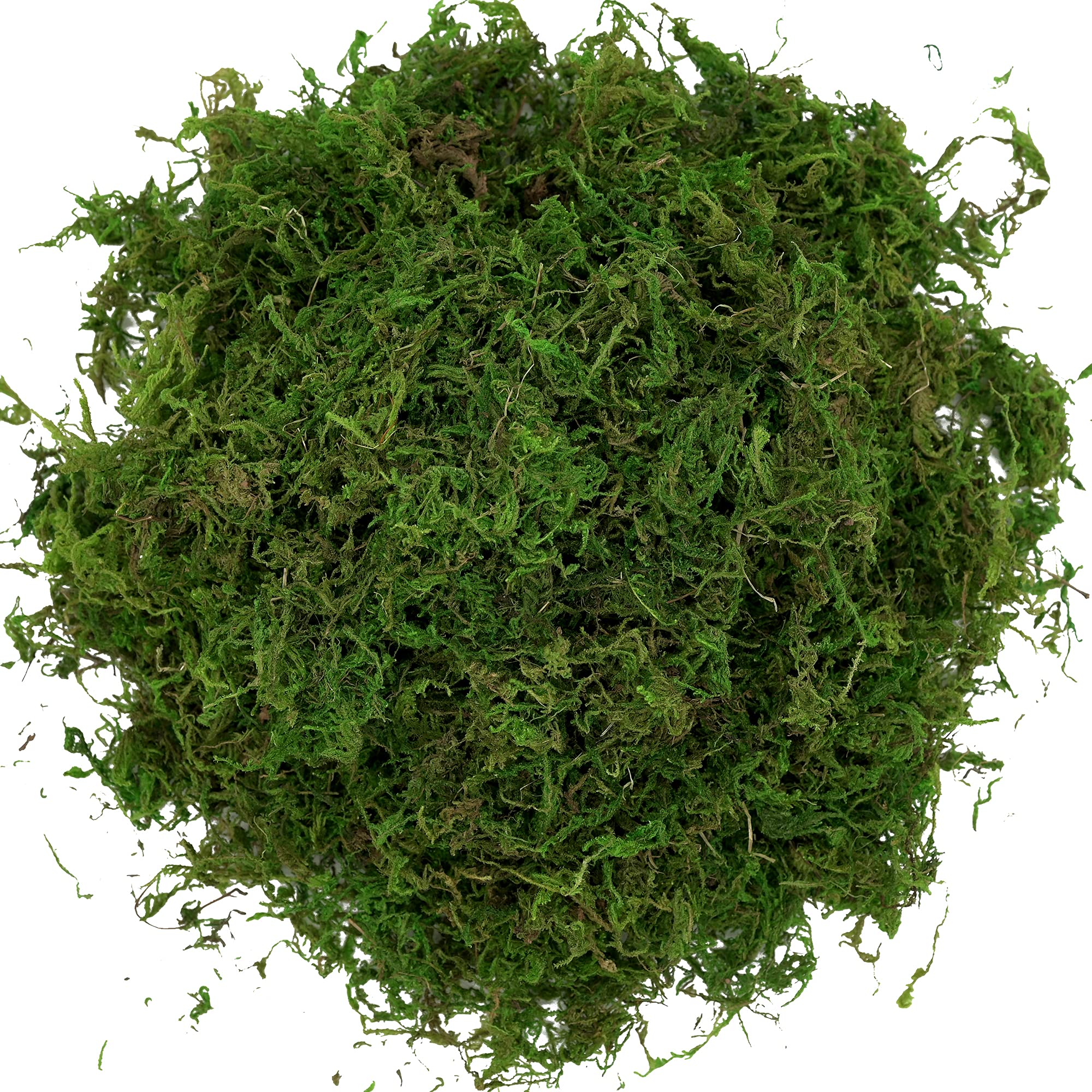 USMOLA Artificial Moss, 16OZ Fake Moss for Crafts, Decorative Centerpieces, Fairy Garden, Wedding Party Decor, Faux Potted Plants, 455gr (Fresh Green)