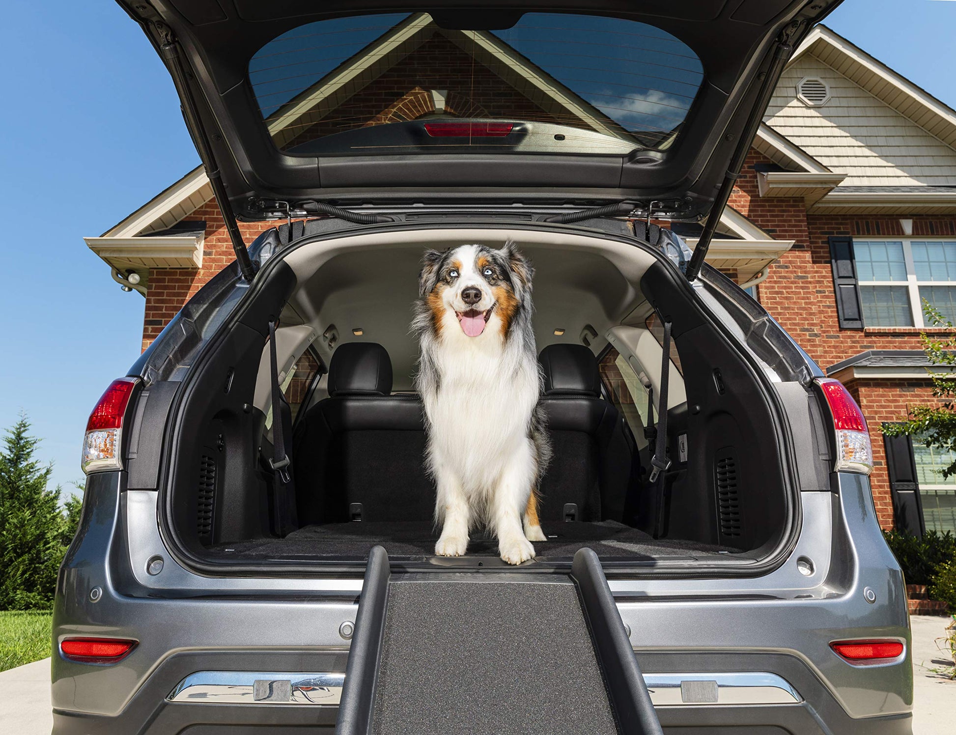PetSafe Happy Ride Folding Pet Ramp, Portable Lightweight Dog Ramp for Cars, Trucks & SUVs