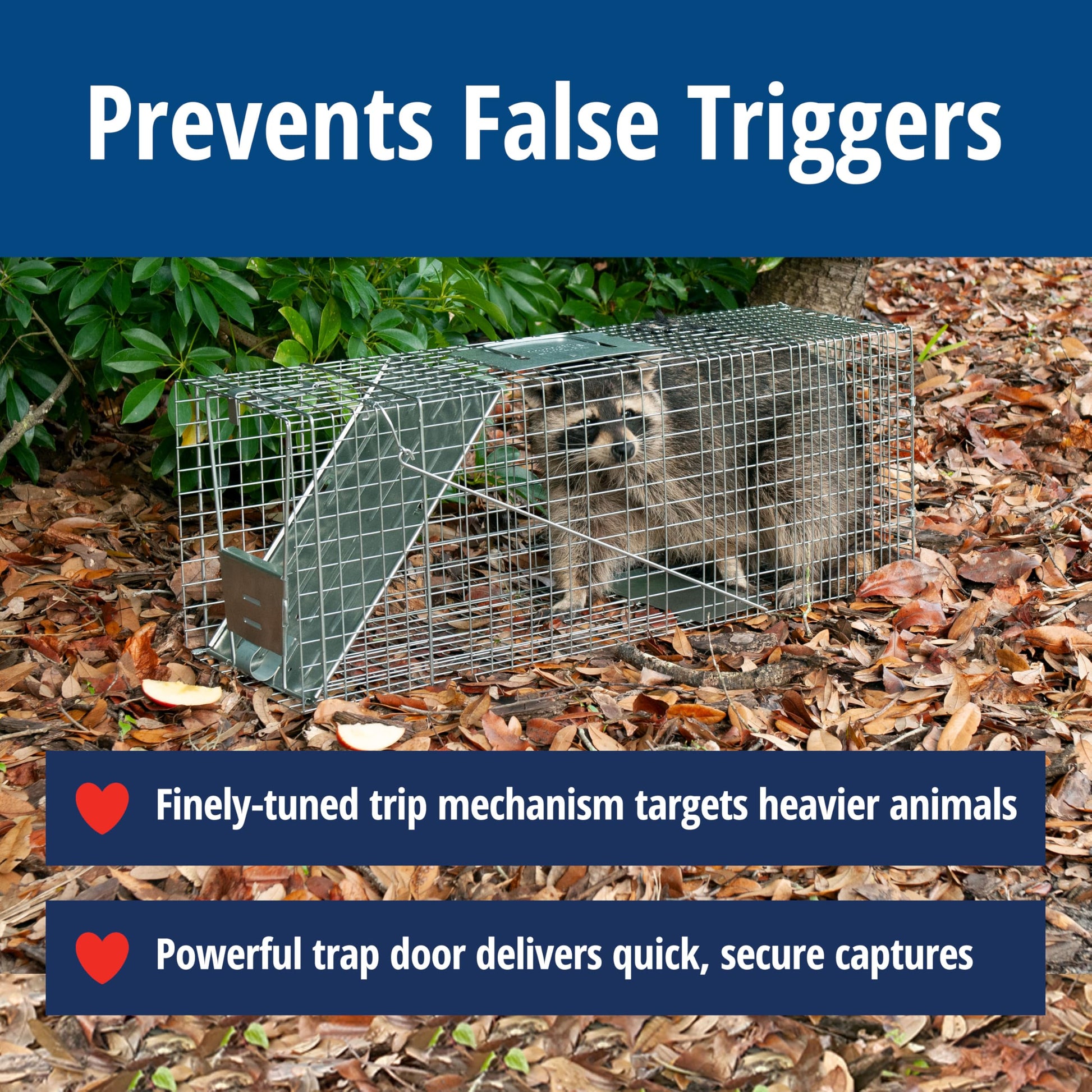 HAVAHART 1079SR Large 1-Door Humane Catch and Release Live Animal Trap Cage - Live Raccoon Trap, for Bobcats, Beavers, Dogs, & More