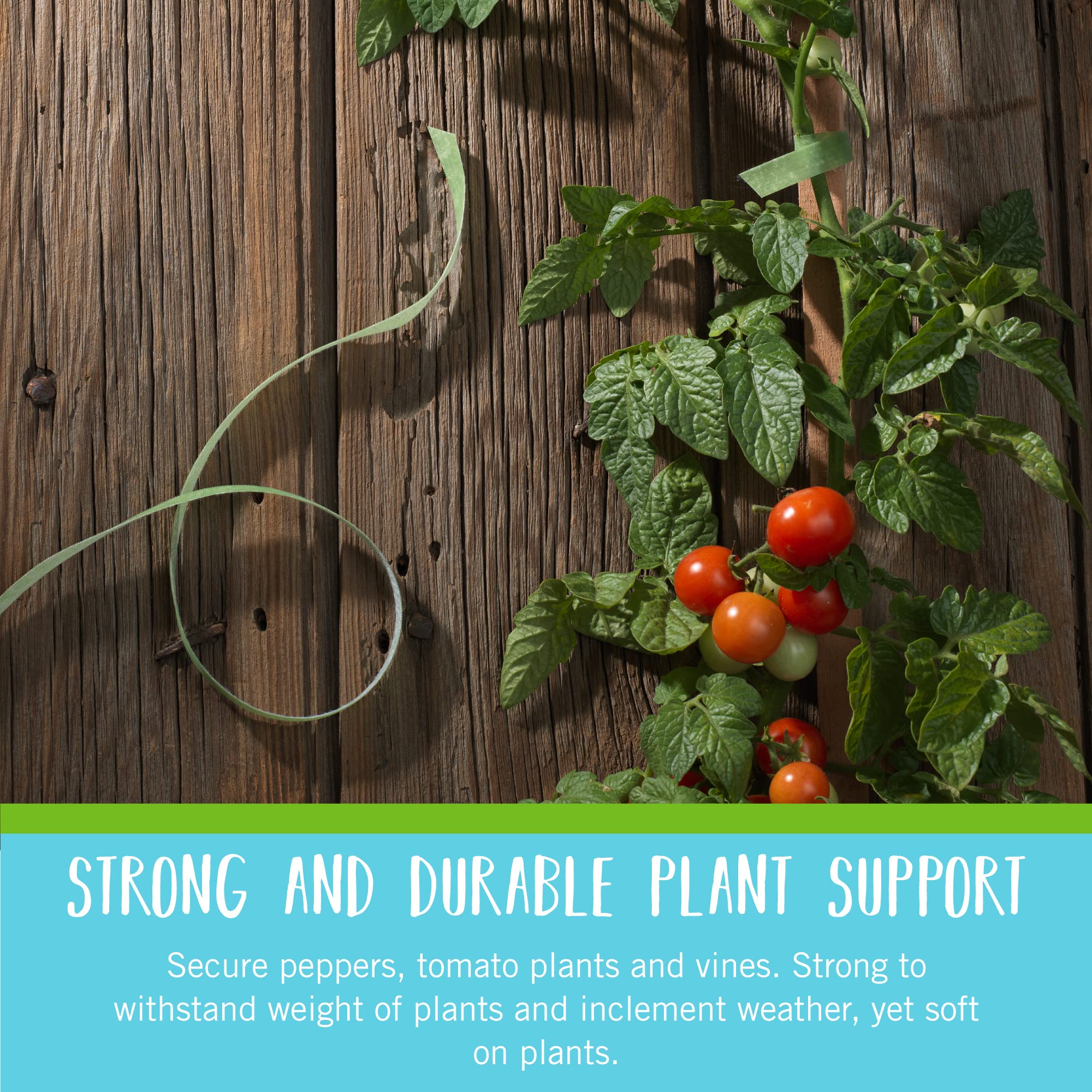 VELCRO Brand VEL-30071-USA ONE-WRAP Garden Ties | Plant Supports for Effective Growing | Strong Grips are Reusable and Adjustable | Cut-to-Length, 50 ft x 1/2 in, Green-Recycled Plastic