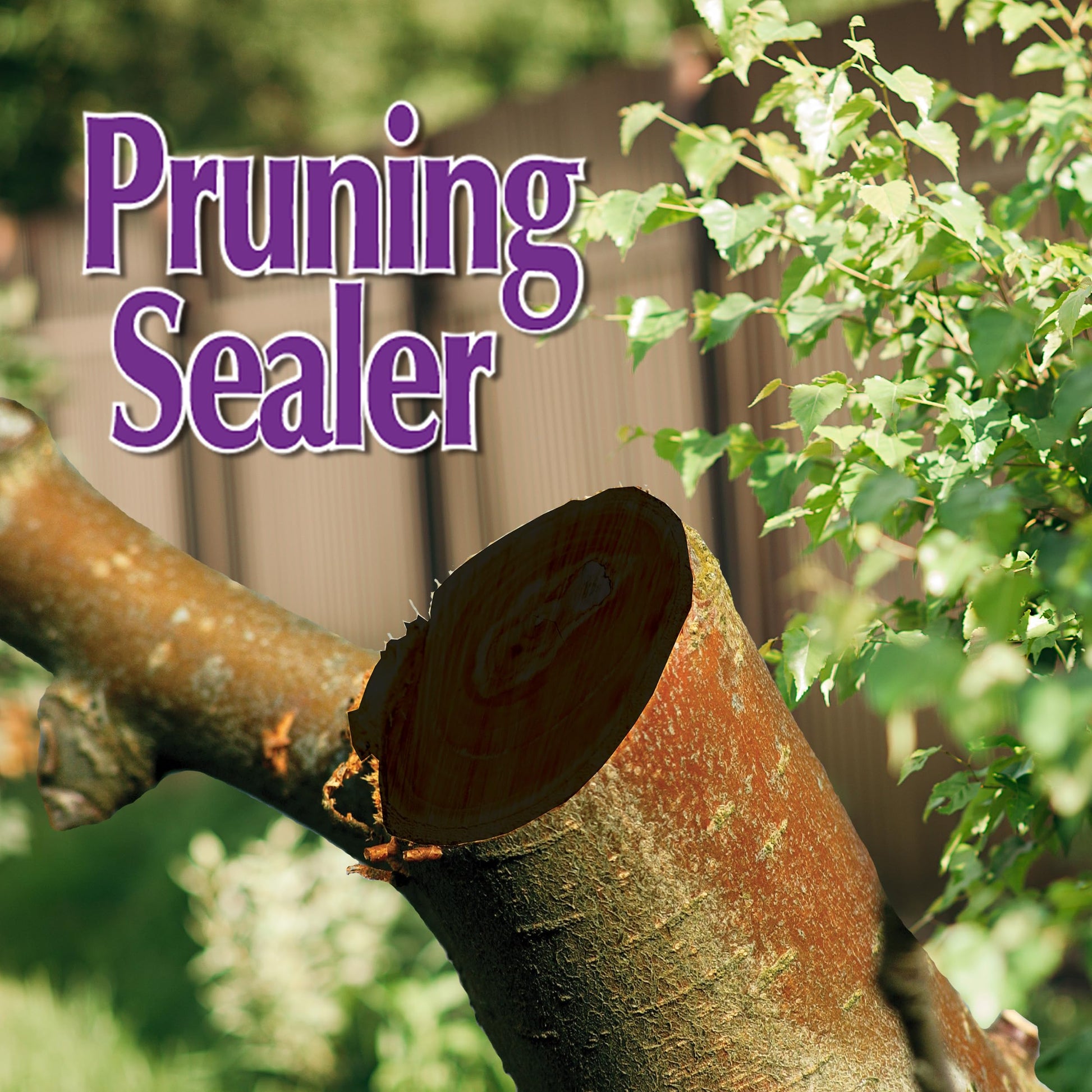 Bonide Garden Rich Pruning Sealer with Brush Top Applicator, 16 oz Ready-to-Use Protective Seal for Trees, Shrubs, Roses