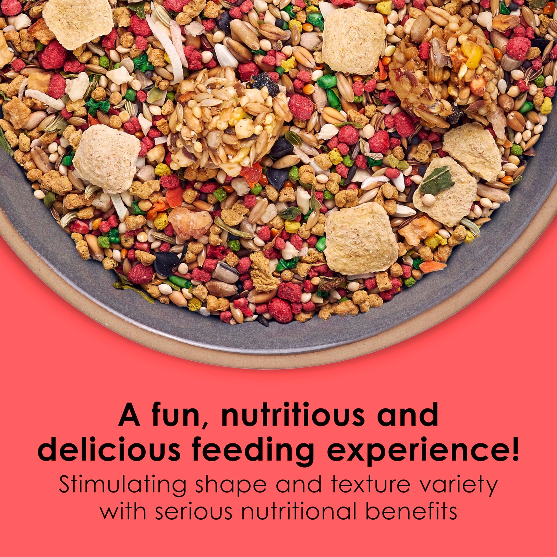 Kaytee Fiesta Parakeet Food, Nutritious and Fun Blend, Supports Skin, Feather, Digestion, Brain and Heart Health, 2 pounds