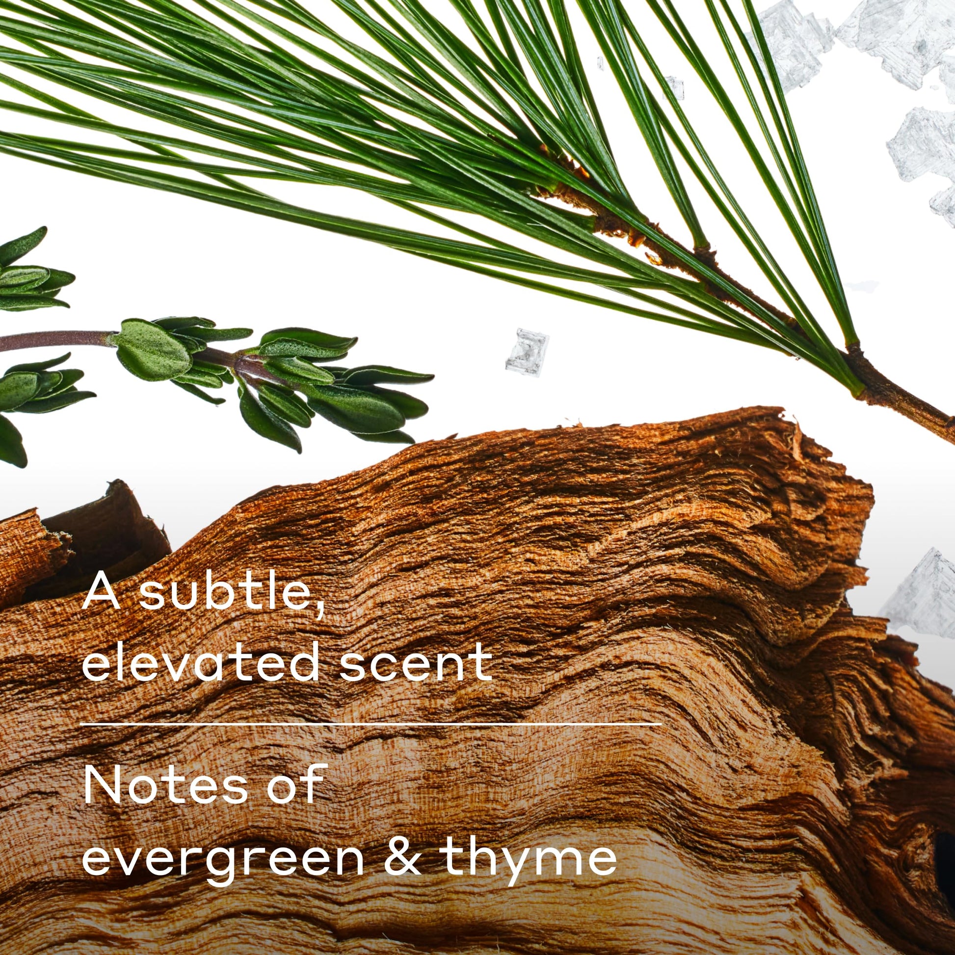 Harry's Extra-Strength Antiperspirant Deodorant, Sweat & Odor Control Antiperspirant for Men, Variety Pack - Stone, Redwood, Wildlands, 2.5 oz Pack of 3