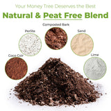 Perfect Plants Money Tree Potting Soil 4qt | Organic Coco Coir Based Plant Mix for Indoor Trees | Quickly Grow Your Indoor Forest