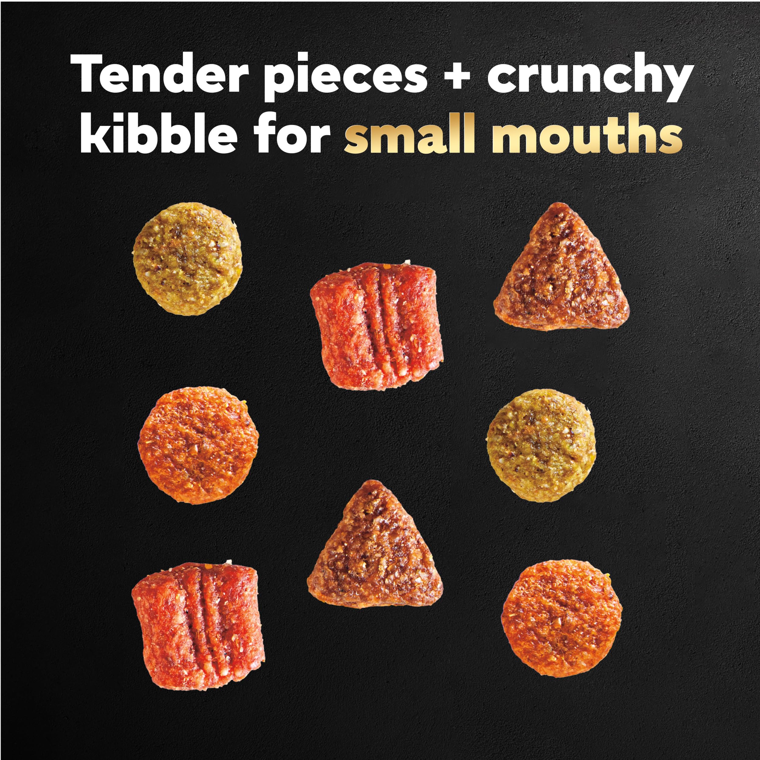 Cesar Small Breed Dry Dog Food Filet Mignon Flavor and Spring Vegetables Garnish, 12 lb. Bag