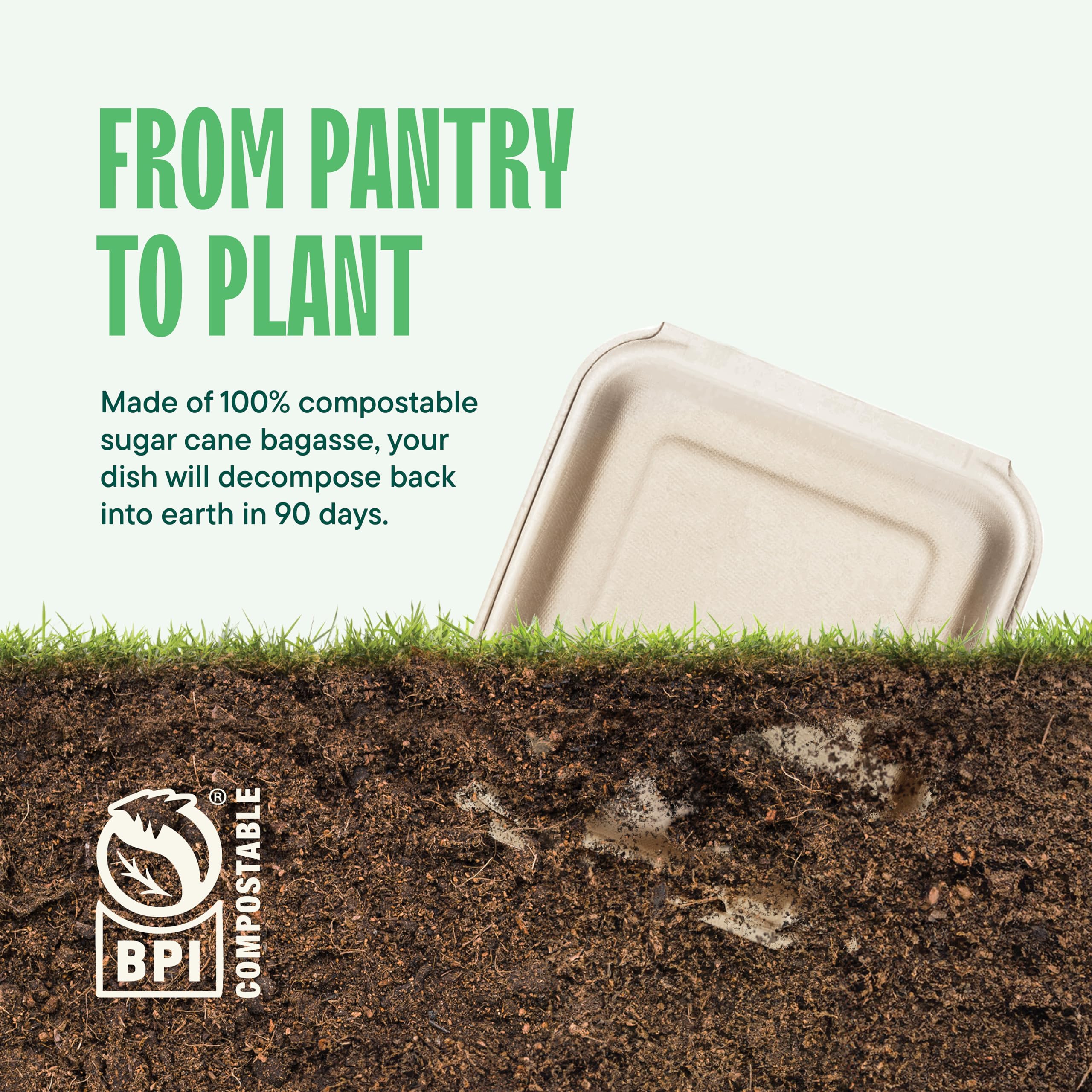 100% Compostable Clamshell Take Out Food Containers [8X8" 50-Pack] Heavy-Duty Quality to go Containers, Natural Disposable Bagasse, Eco-Friendly Biodegradable Made of Sugar Cane Fibers