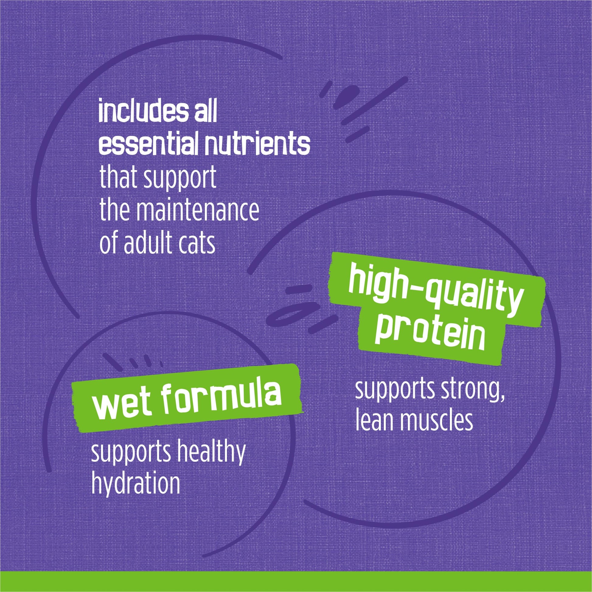 Purina Friskies Pate Wet Cat Food Variety Pack Seafood and Chicken Pate Favorites - 48 ct. Can