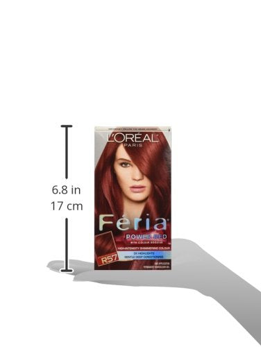 Excellence Dark Brown 4 2pk