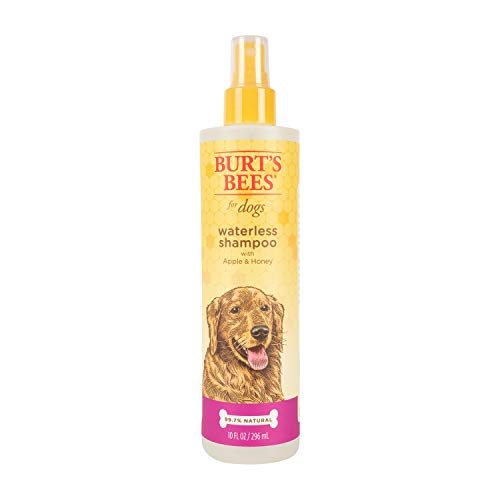 Burts Bees for Pets Natural Waterless Dog Shampoo Spray with Apple and Honey, Dry Shampoo for Dogs and Puppies, For Large and Smelly Dogs, Sulfate & Paraben Free, pH Balanced, Made in USA - 10 Oz