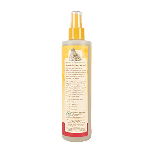 Burts Bees Hot Spot Spray - Grooming Supplies - Apple Cider Vinegar Spray, Hot Spot Treatment for Dogs