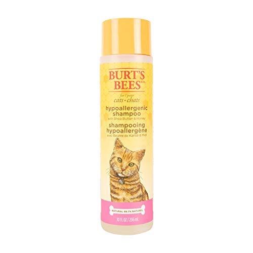 Burts Bees for Pets Cat Hypoallergenic Cat Shampoo with Shea Butter & Honey | Best Shampoo for Cats with Dry or Sensitive Skin | Cruelty Free, Sulfate & Paraben Free, pH Balanced for Cats - 10oz