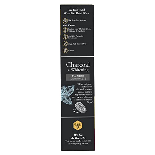 Burt’s Bees Toothpaste, Natural Flavor, Charcoal with Fluoride Toothpaste, Mountain Mint, 3 x 4.7oz