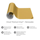 Cricut Premium Vinyl Removable for All Cricut Cutting Machines, No Residue Vinyl for DIY Crafts, Wall Decals, Stickers, In-House Decor and More, Lipstick