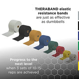 THERABAND Resistance Bands, 50 Yard Roll Professional Latex Elastic Band For Upper & Lower Body & Core Exercise, Physical Therapy, Pilates, Home Workout, Rehab, Silver, Super Heavy, Advanced Level 2