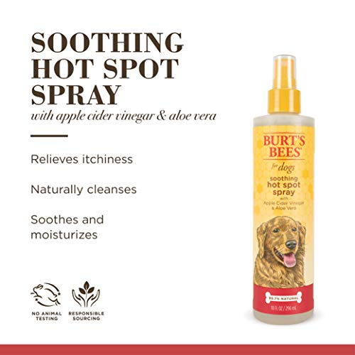 Burts Bees Hot Spot Spray - Grooming Supplies - Apple Cider Vinegar Spray, Hot Spot Treatment for Dogs