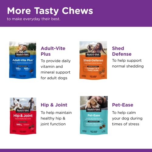 Nutri-Vet Pre and Probiotic Soft Chews for Dogs | Digestive Health Support Dog Probiotics | Tasty Alternative to Dog Probiotic Powder | 120 Soft Chews