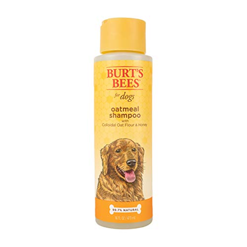 Burts Bees for Pets Oatmeal Dog Shampoo | With Colloidal Oat Flour & Honey | Moisturizing & Nourishing, Cruelty Free, Sulfate & Paraben Free, pH Balanced for Dogs - Made in USA, 16 Oz