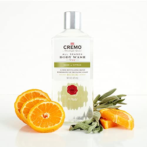 Cremo Rich-Lathering Silver Water & Birch Body Wash, A Revitalizing Combination of Glacier-Fed Streams and White Birch 16 Fl Oz (2-Pack)